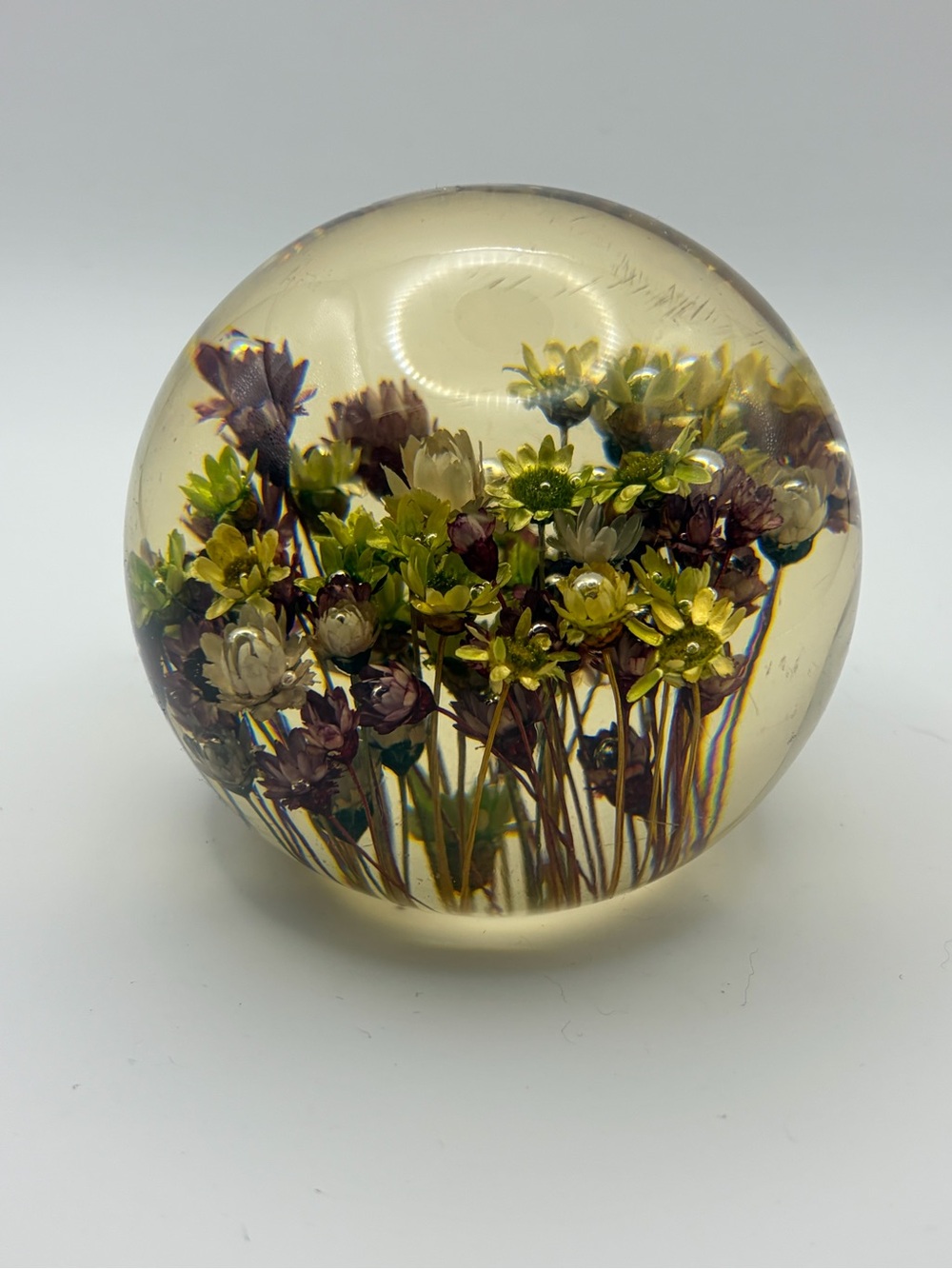 Vintage Lucite Paperweight Dried Flowers Acrylic